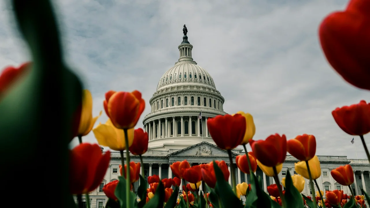 Объем торгов на платформах прогнозирования выборов в США превысил $1,4 млрд
