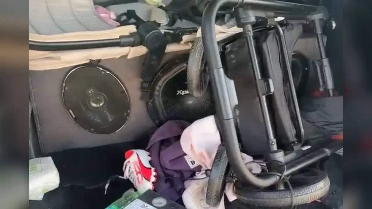 Inside a speaker behind a baby seat: The unbelievable hiding place of an illegal resident