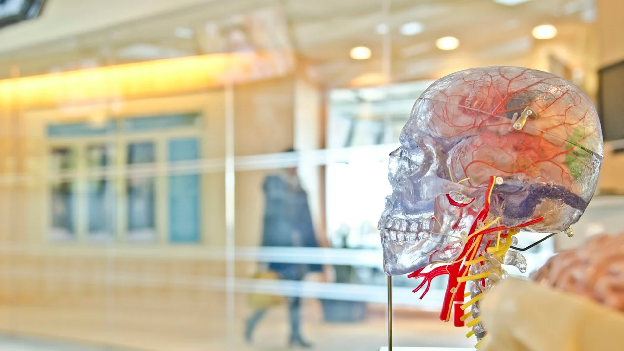ADHD Linked to Higher Mortality Rates, But Medication May Reduce Risk