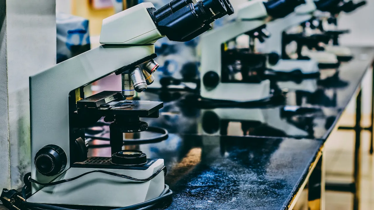 New Study Advances Laboratory-Grown Human Germ Cells Toward Sperm Development
