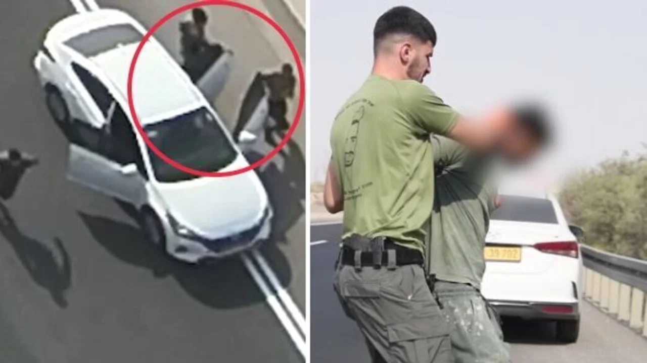Two Arrested for Harboring and Transporting Illegal Resident