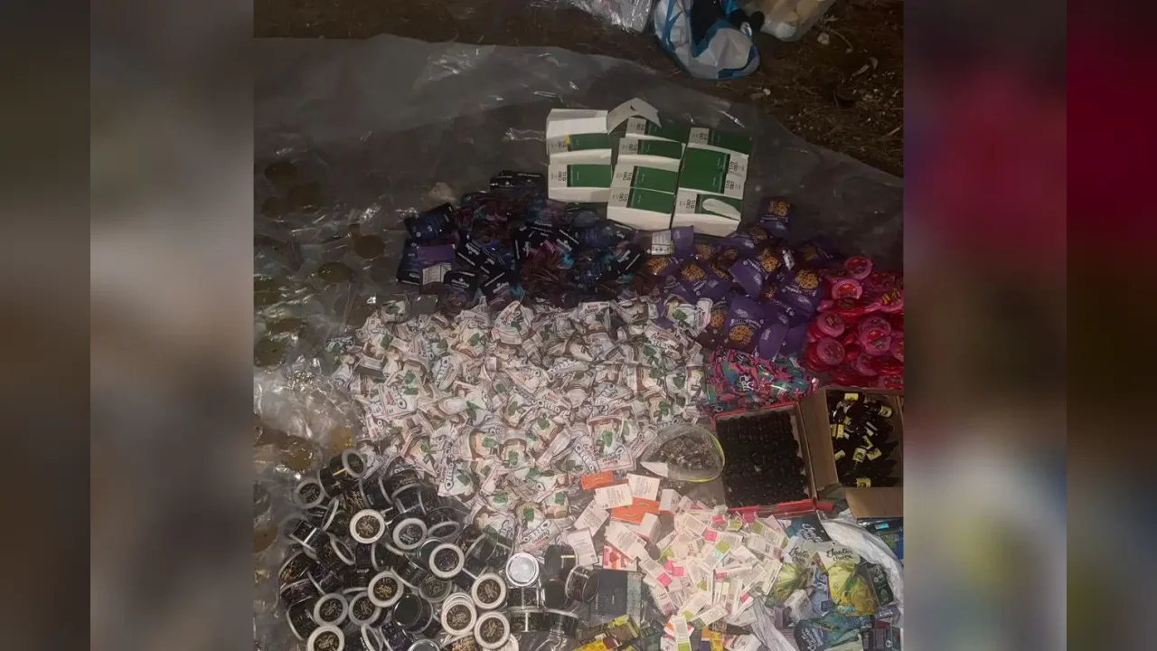 Covert investigation revealed: hundreds of kilograms of drugs were concealed in chocolates and cookies