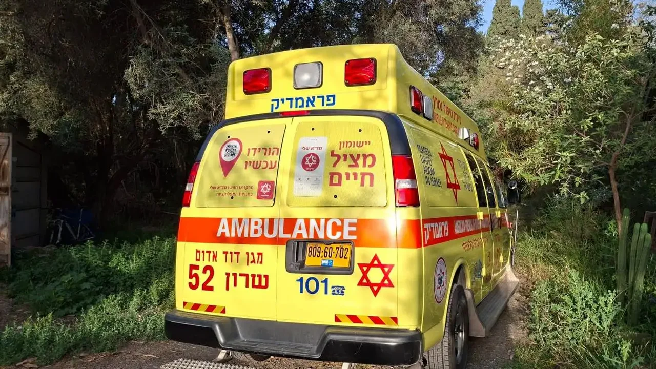 7-year-old girl dies after being hit by a tractor in Kafr Qara